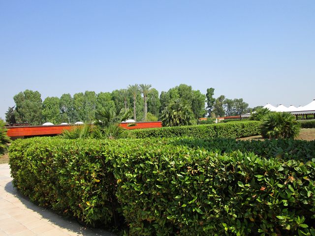 FV Stella Sud